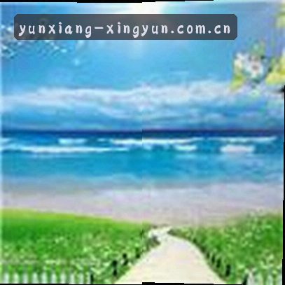 陈静